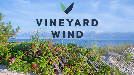 Vinetard Wind Logo